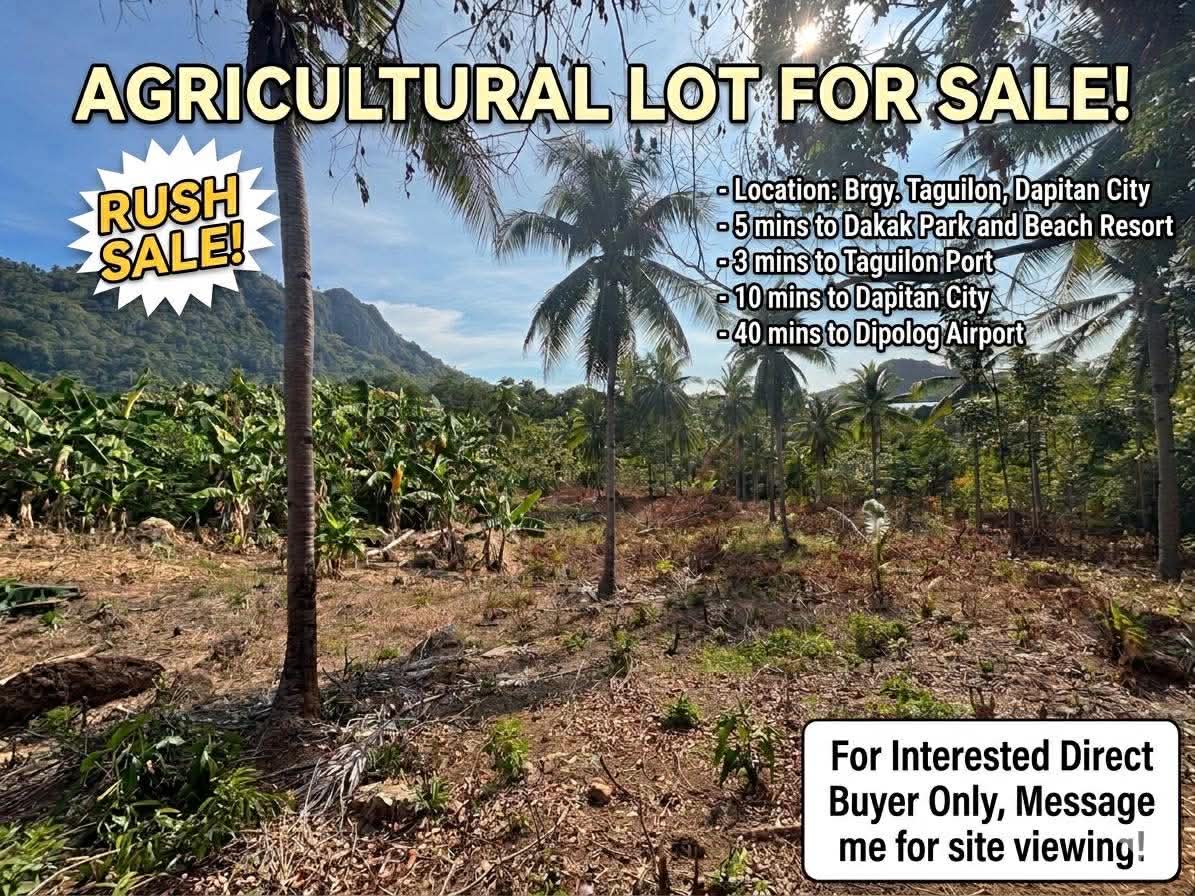 Agricultural Lot for Sale – Taguilon, Dapitan City